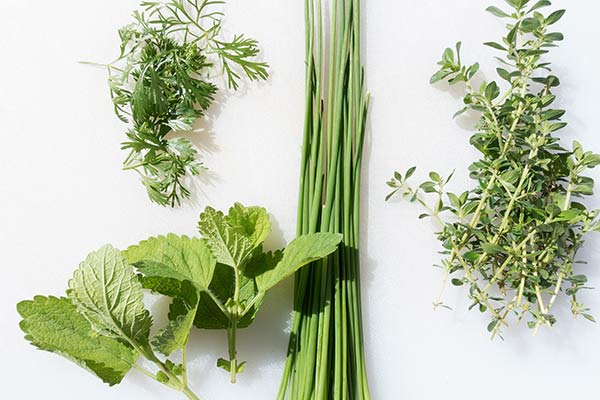 Herbes aromatiques