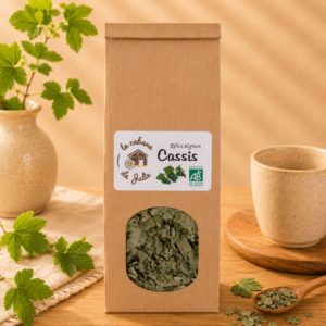 Cassis Feuille