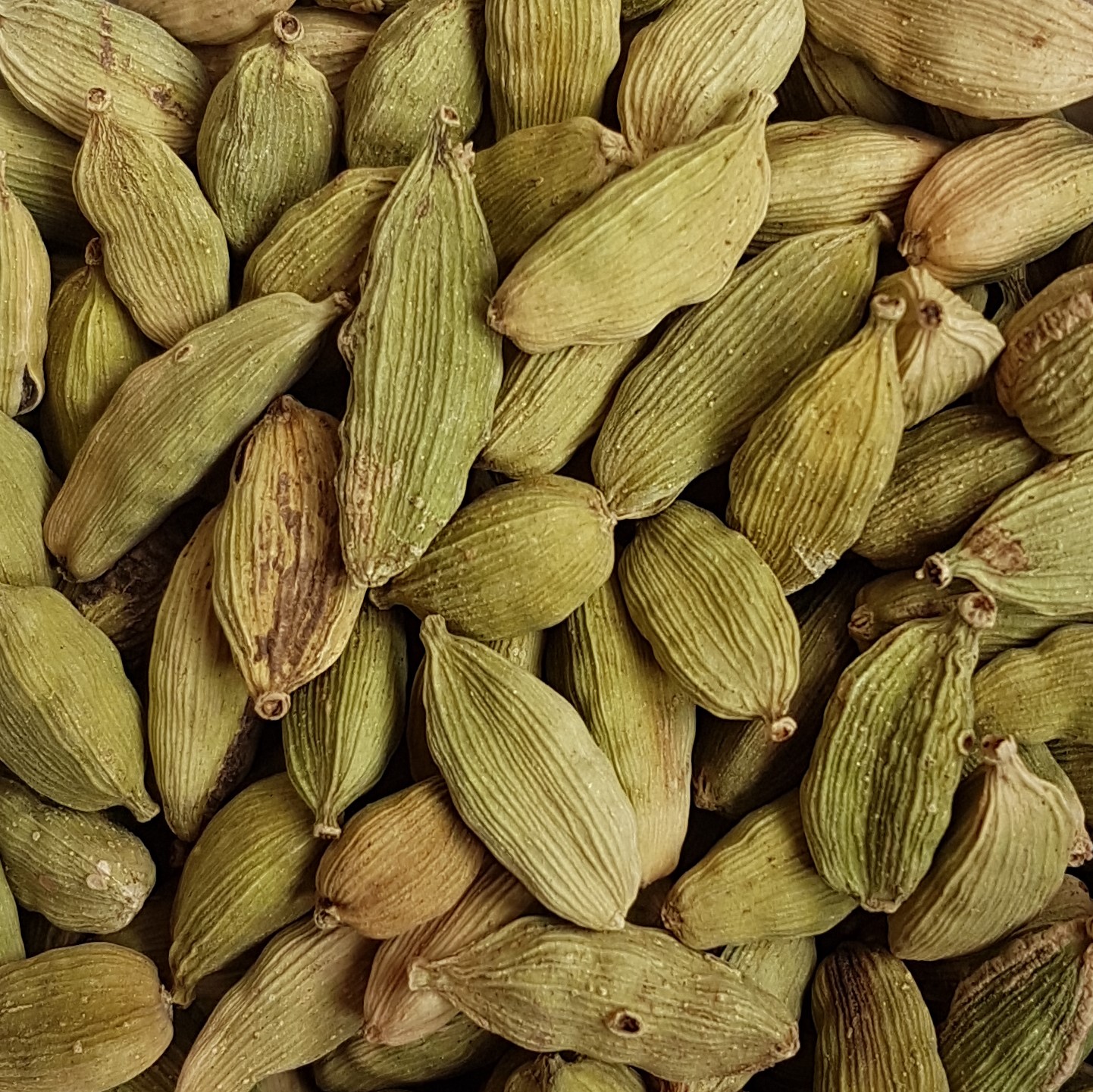 Cardamome (fruit entier) - Tisane et épices Bio