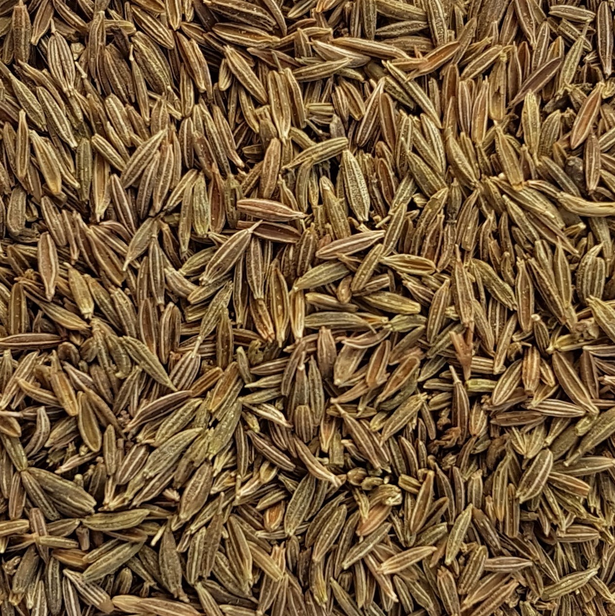 Cumin (graine)