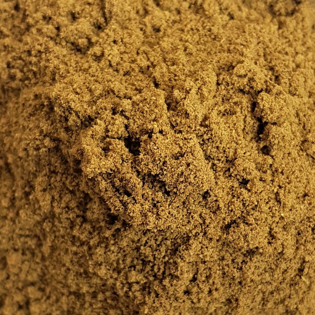 Cumin (poudre)