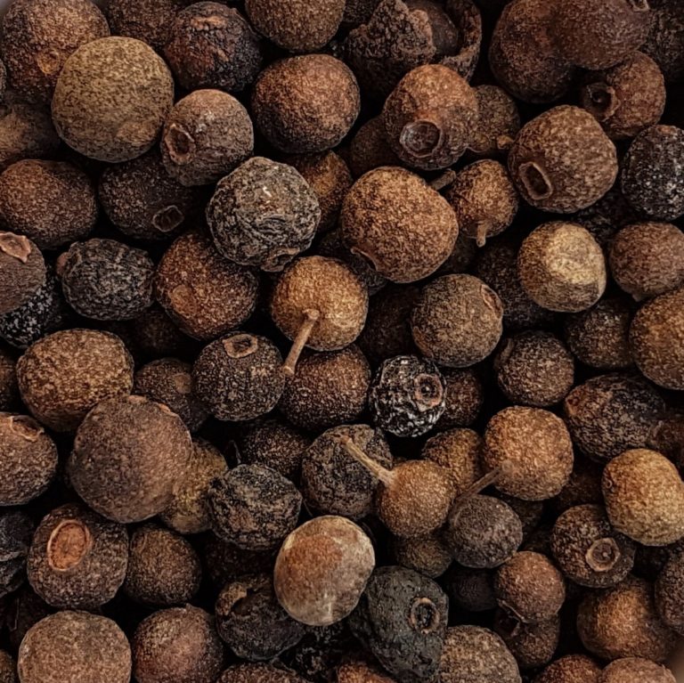 Piment de la Jamaique Tisane et épices Bio